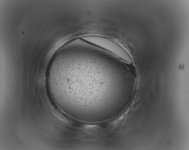 X0000090600055200707311210