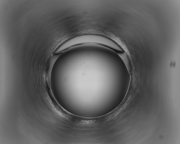 X0000090600057200707311210