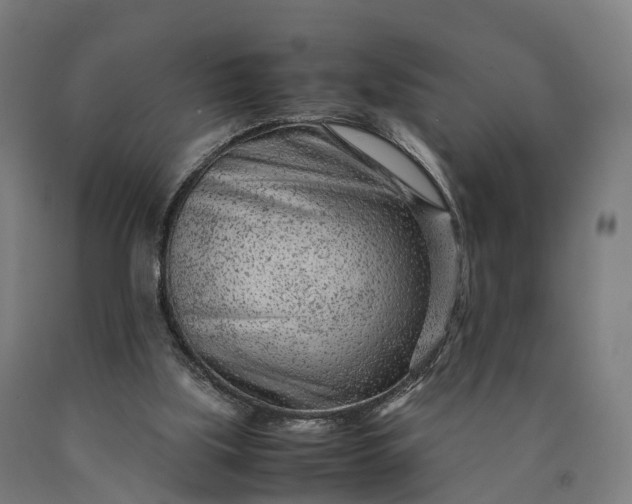 X0000090600059200707311210