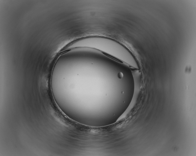 X0000090600060200707311210