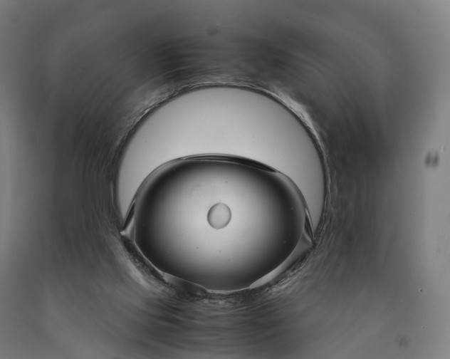 X0000090600061200707311210