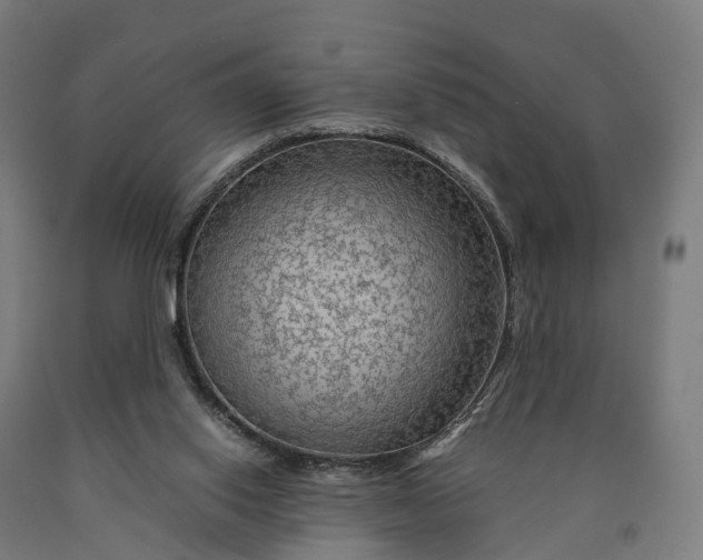 X0000090600062200707311210