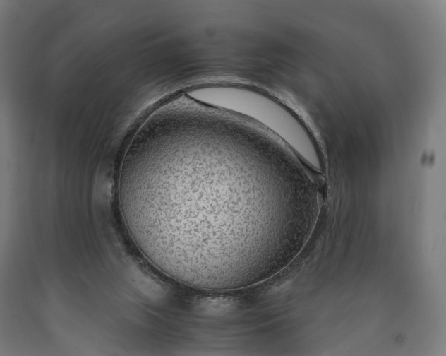 X0000090600063200707311210