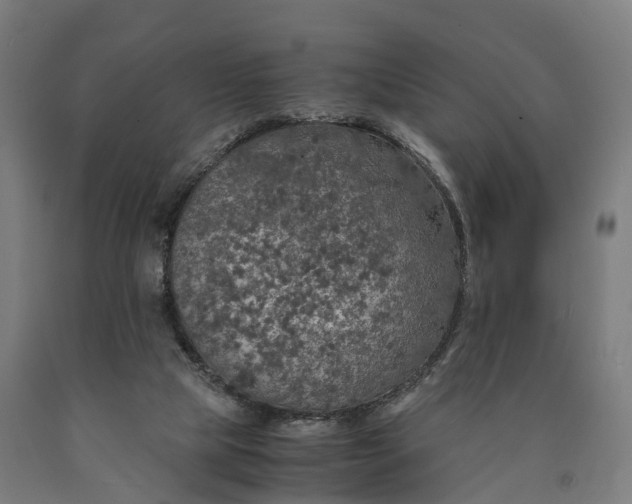 X0000090600065200707311210