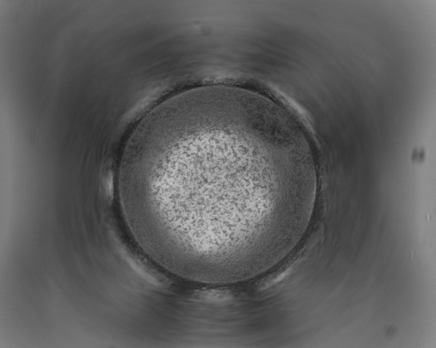 X0000090600067200707311210