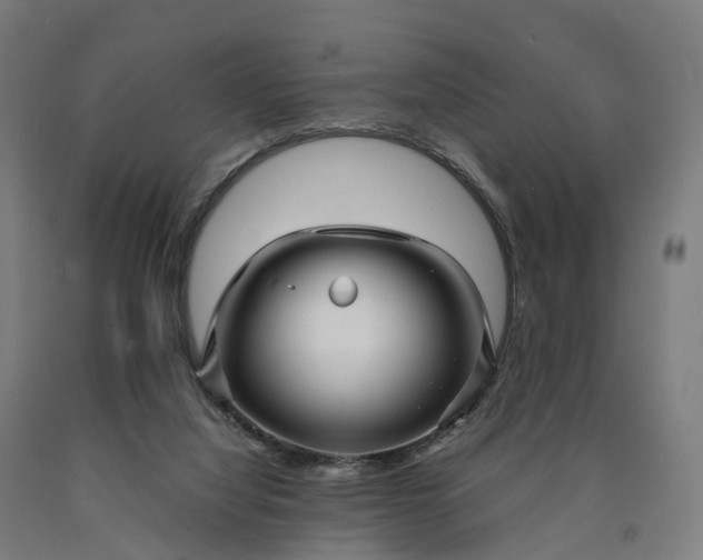 X0000090600068200707311210