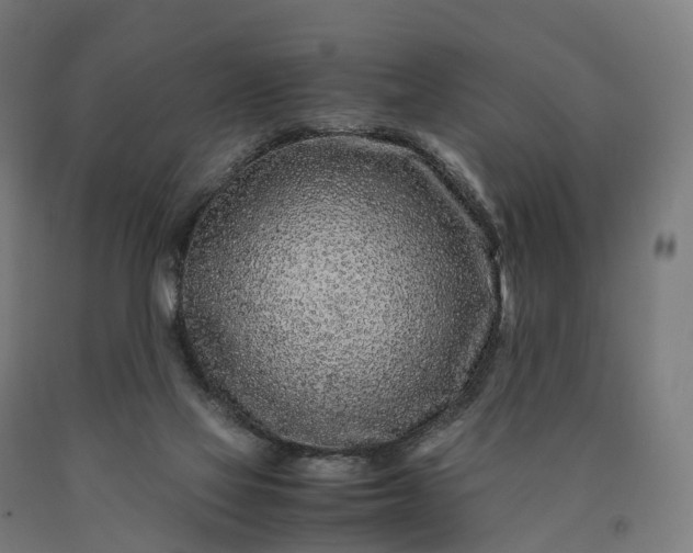 X0000090600069200707311210