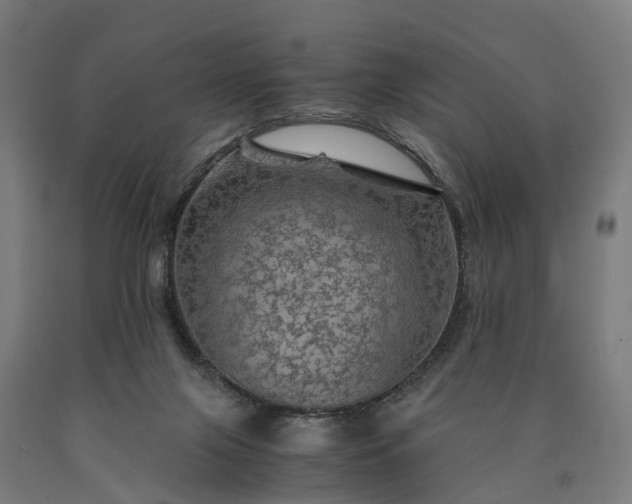 X0000090600071200707311210