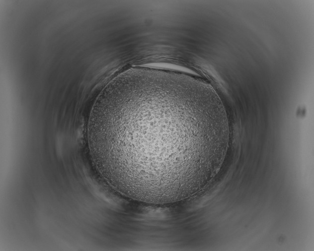 X0000090600073200707311210