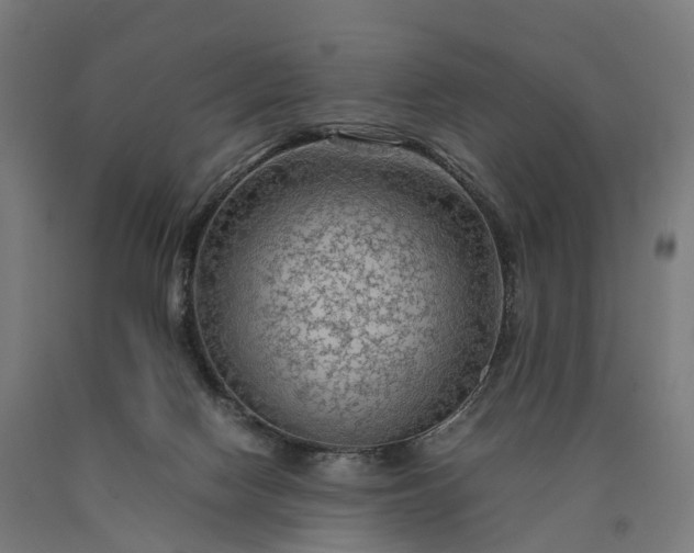 X0000090600074200707311210