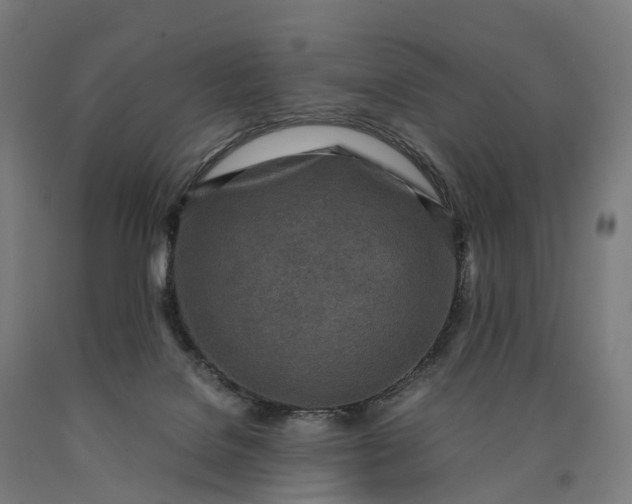 X0000090600076200707311210