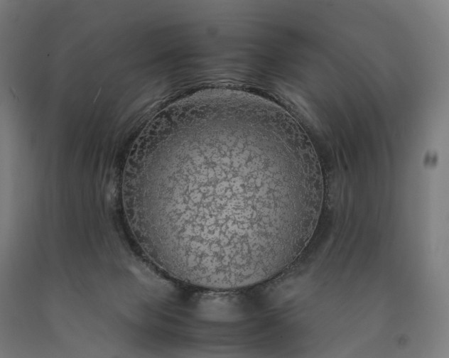 X0000090600077200707311210