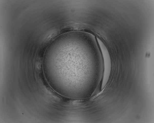 X0000090600078200707311210