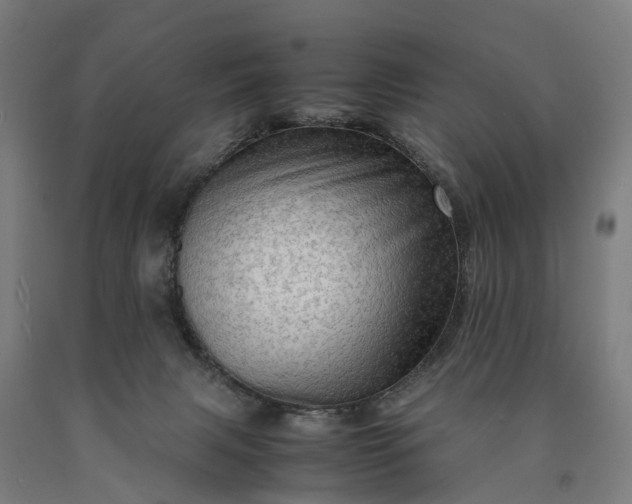 X0000090600079200707311210