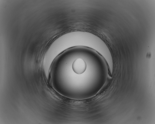 X0000090600081200707311210