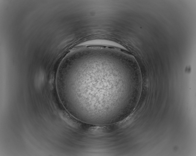 X0000090600082200707311210