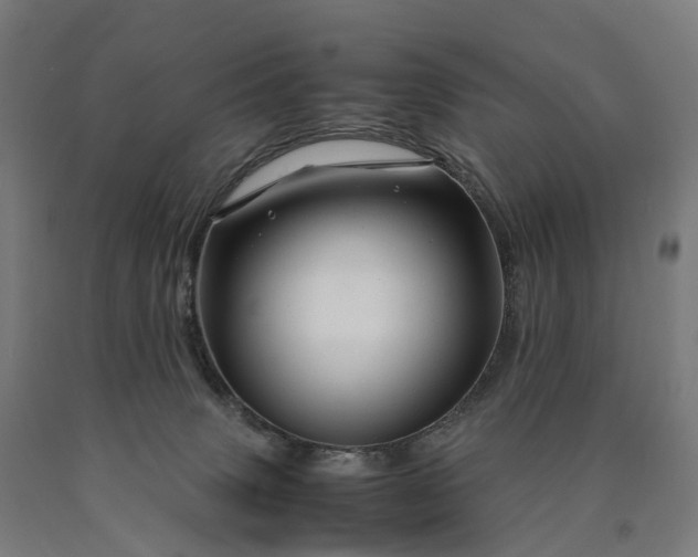 X0000090600083200707311210