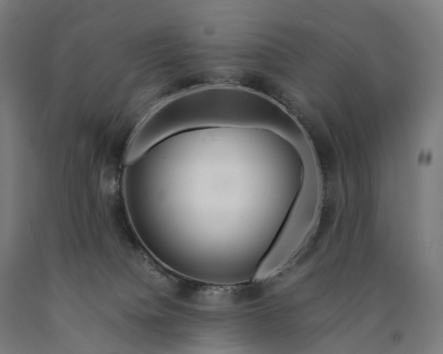 X0000090600084200707311210