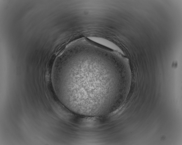 X0000090600086200707311210