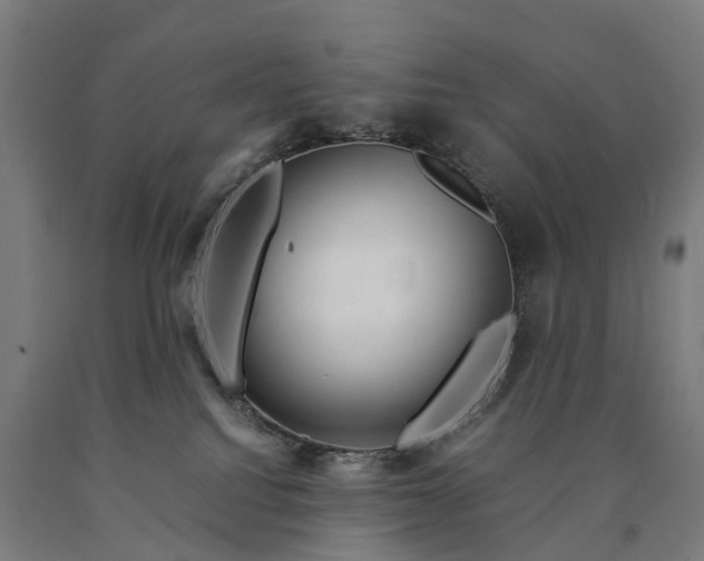 X0000090600088200707311210