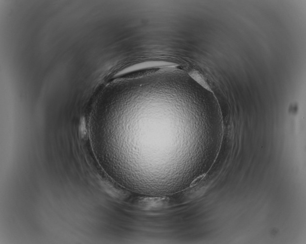 X0000090600089200707311210