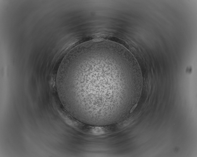 X0000090600091200707311210