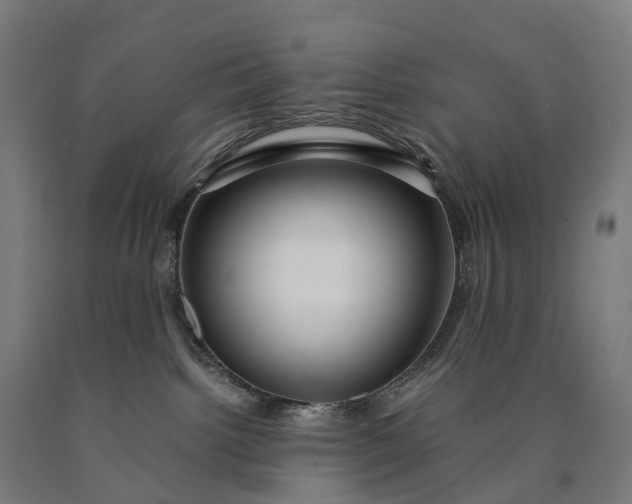 X0000090600092200707311210