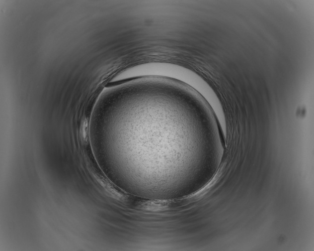 X0000090600094200707311210