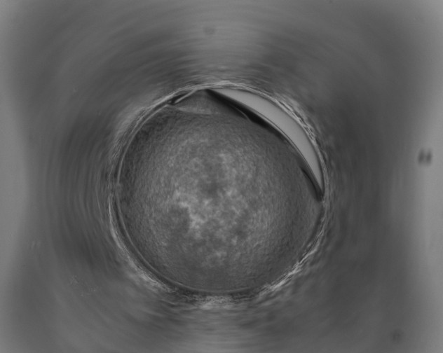 X0000090600097200707311209