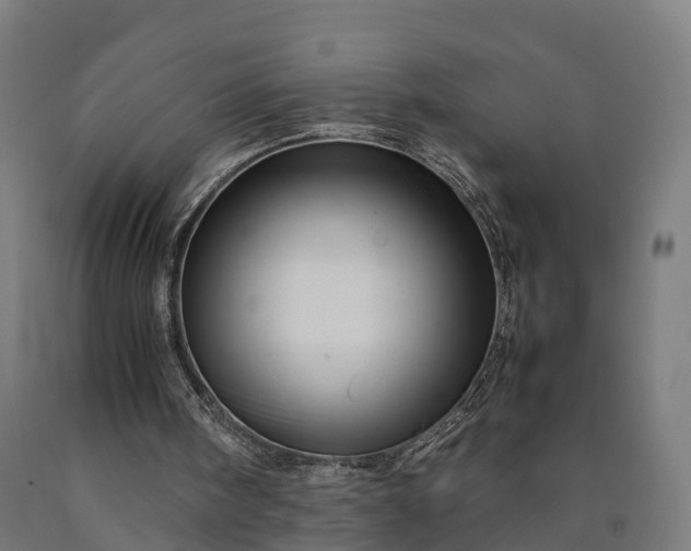 X0000090600098200707311209