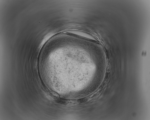 X0000090600099200707311209