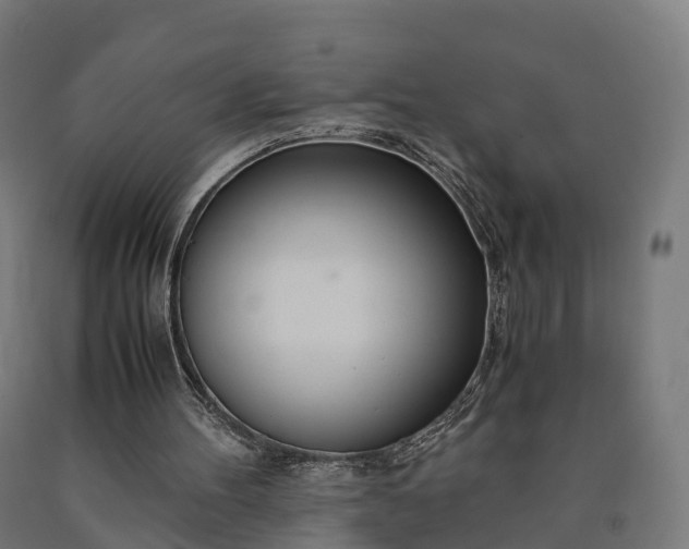 X0000090600100200707311209