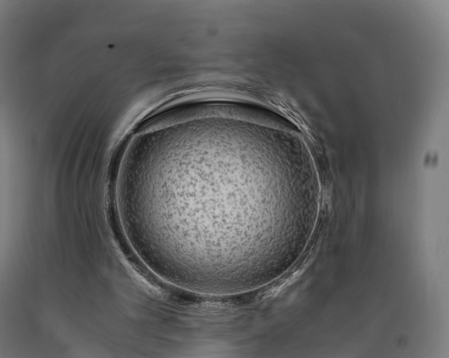 X0000090600101200707311209