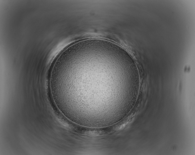 X0000090600103200707311209