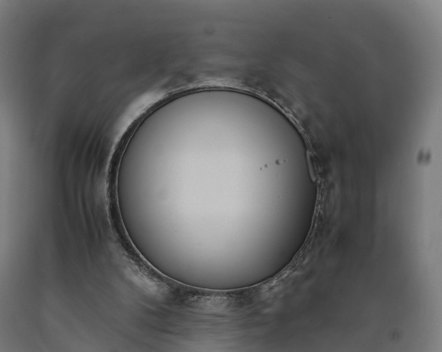 X0000090600104200707311209