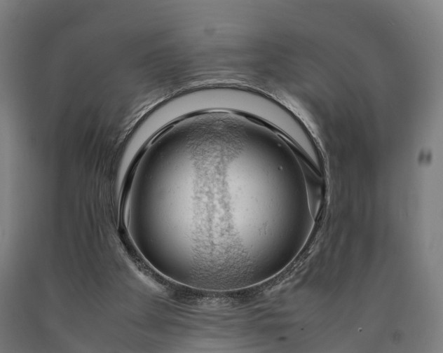 X0000090600105200707311209