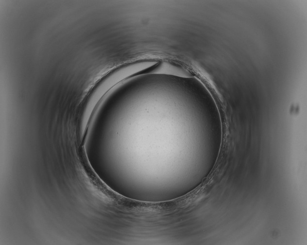 X0000090600106200707311209