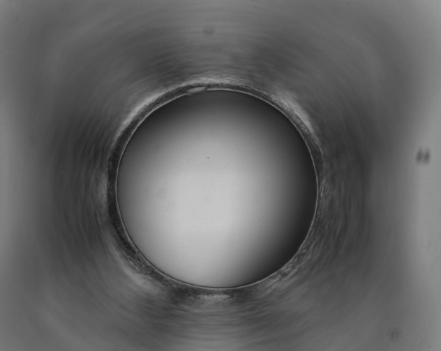 X0000090600108200707311209