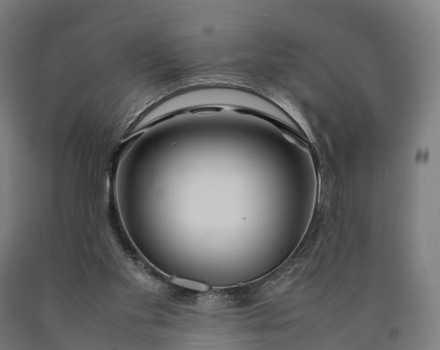 X0000090600109200707311209