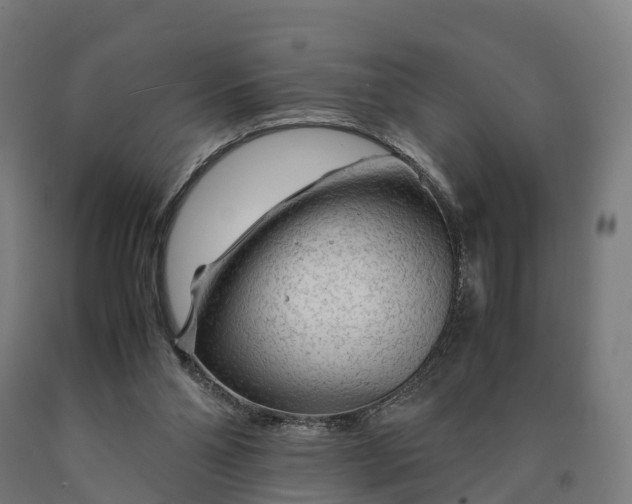 X0000090600110200707311209