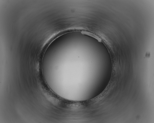 X0000090600112200707311209