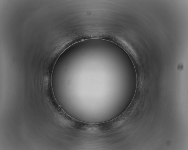 X0000090600113200707311209