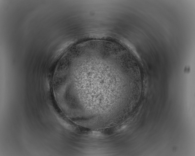 X0000090600114200707311209