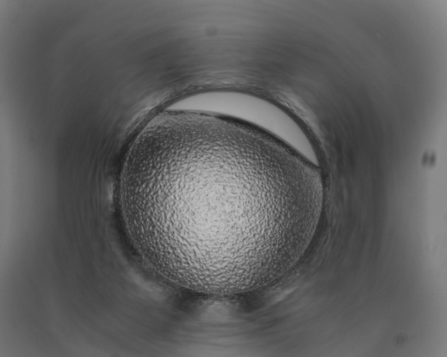 X0000090600115200707311209