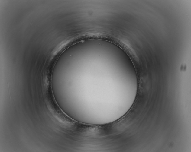 X0000090600116200707311209