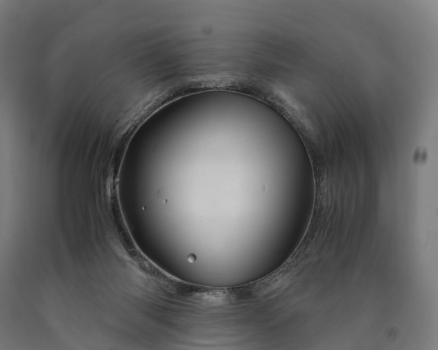 X0000090600118200707311209