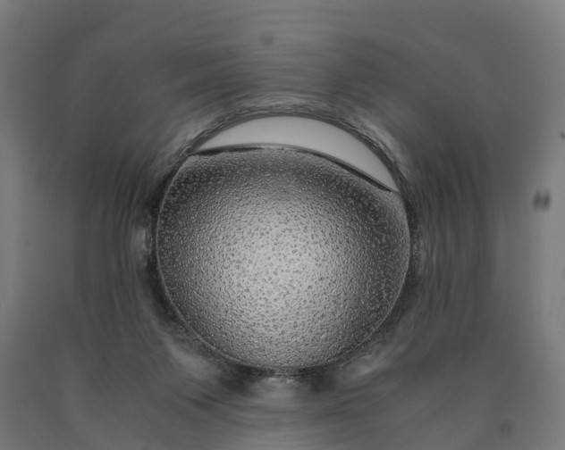 X0000090600119200707311209