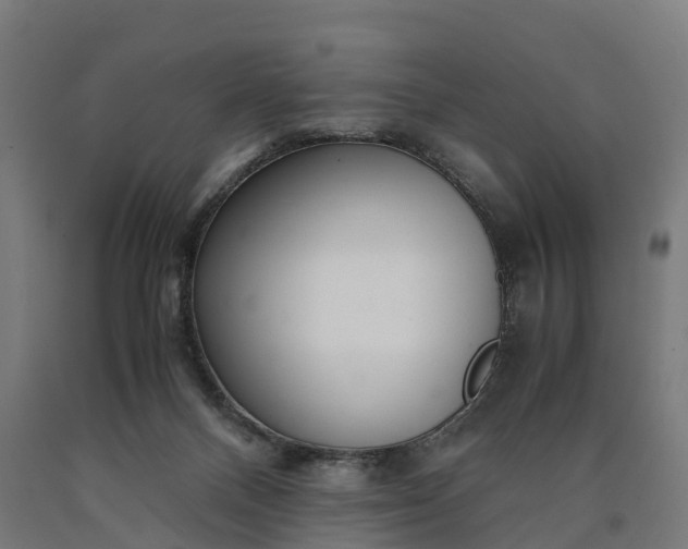 X0000090600120200707311209