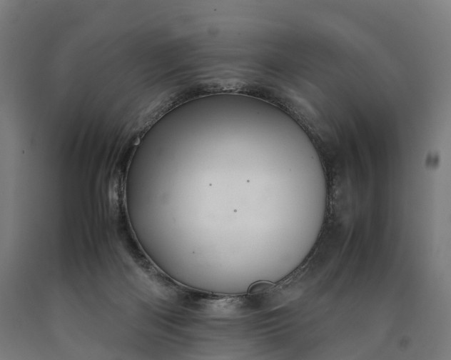 X0000090600122200707311209