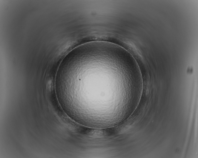 X0000090600123200707311209